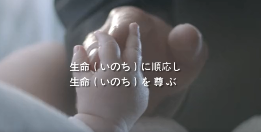 k8凯发官网集团形象片（日本語）