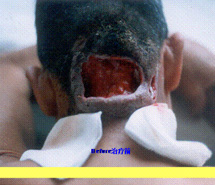 k8凯发官网(中国)天生赢家·一触即发