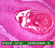 k8凯发官网(中国)天生赢家·一触即发