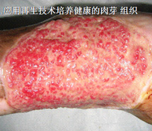 k8凯发官网(中国)天生赢家·一触即发