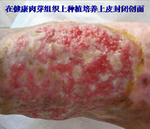 k8凯发官网(中国)天生赢家·一触即发