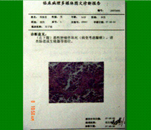 k8凯发官网(中国)天生赢家·一触即发