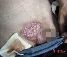 k8凯发官网(中国)天生赢家·一触即发