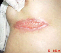 k8凯发官网(中国)天生赢家·一触即发