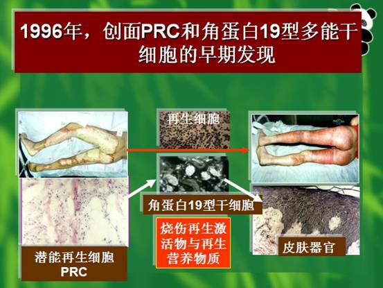 k8凯发官网(中国)天生赢家·一触即发