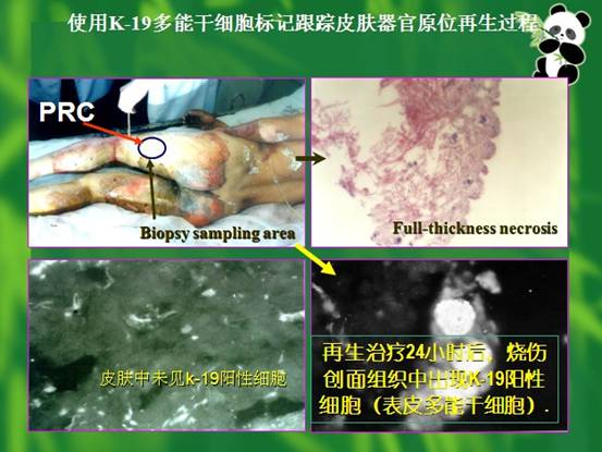 k8凯发官网(中国)天生赢家·一触即发