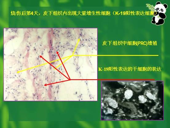 k8凯发官网(中国)天生赢家·一触即发