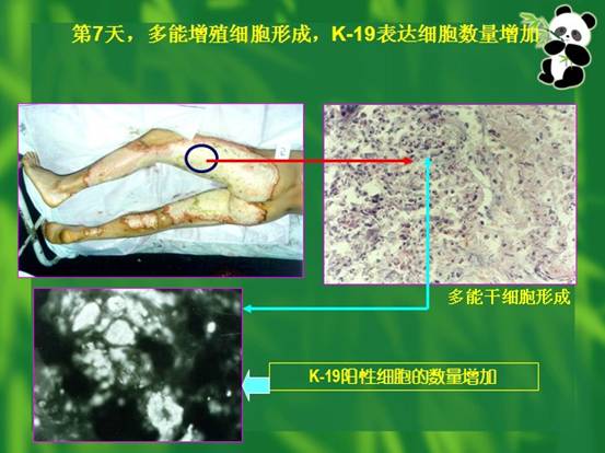 k8凯发官网(中国)天生赢家·一触即发