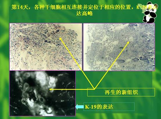 k8凯发官网(中国)天生赢家·一触即发