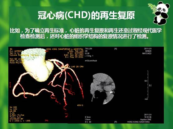 k8凯发官网(中国)天生赢家·一触即发