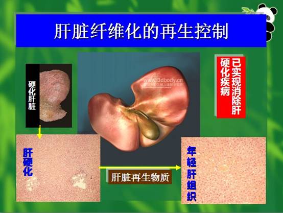 k8凯发官网(中国)天生赢家·一触即发
