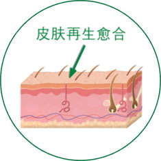 k8凯发官网(中国)天生赢家·一触即发