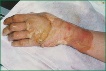 k8凯发官网(中国)天生赢家·一触即发