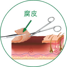 k8凯发官网(中国)天生赢家·一触即发