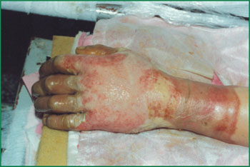 k8凯发官网(中国)天生赢家·一触即发