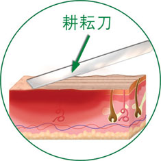 k8凯发官网(中国)天生赢家·一触即发