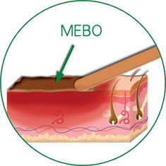 k8凯发官网(中国)天生赢家·一触即发