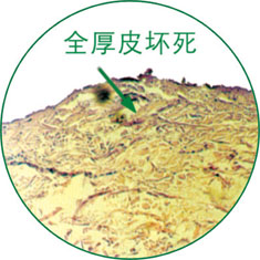 k8凯发官网(中国)天生赢家·一触即发