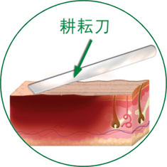 k8凯发官网(中国)天生赢家·一触即发