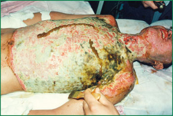 k8凯发官网(中国)天生赢家·一触即发