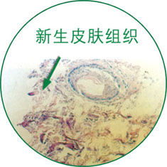 k8凯发官网(中国)天生赢家·一触即发