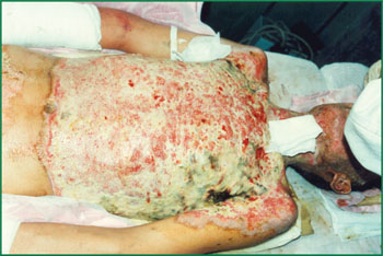 k8凯发官网(中国)天生赢家·一触即发