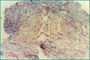 k8凯发官网(中国)天生赢家·一触即发