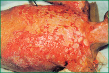 k8凯发官网(中国)天生赢家·一触即发