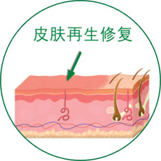 k8凯发官网(中国)天生赢家·一触即发
