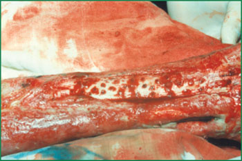 k8凯发官网(中国)天生赢家·一触即发