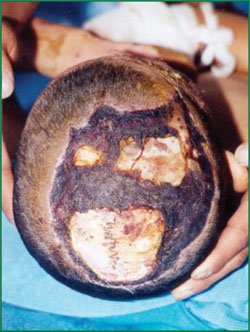 k8凯发官网(中国)天生赢家·一触即发