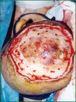 k8凯发官网(中国)天生赢家·一触即发