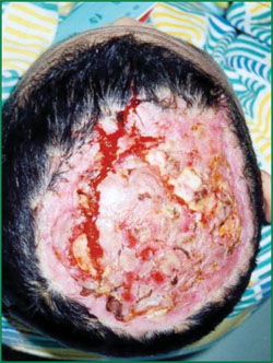 k8凯发官网(中国)天生赢家·一触即发