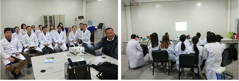 k8凯发官网(中国)天生赢家·一触即发