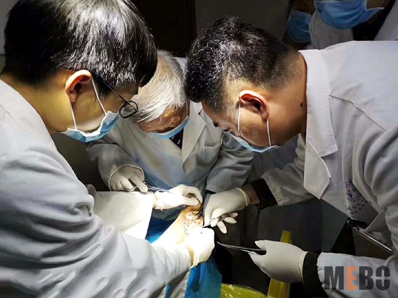 k8凯发官网(中国)天生赢家·一触即发