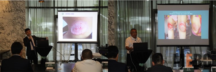 k8凯发官网(中国)天生赢家·一触即发