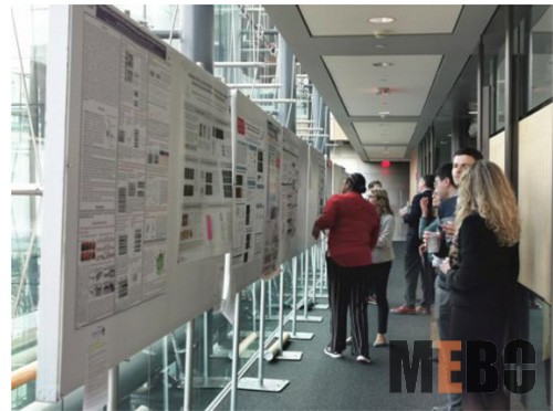 k8凯发官网(中国)天生赢家·一触即发