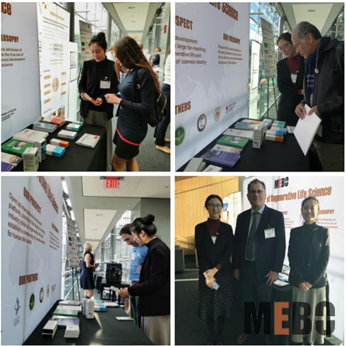 k8凯发官网(中国)天生赢家·一触即发