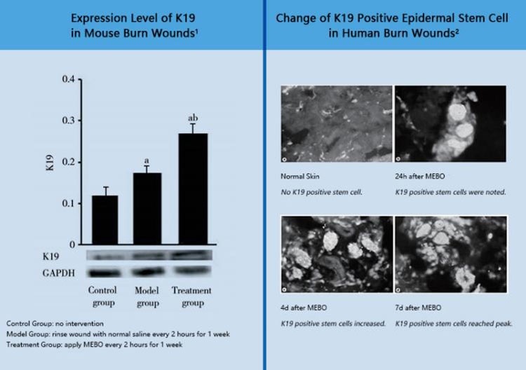 k8凯发官网(中国)天生赢家·一触即发