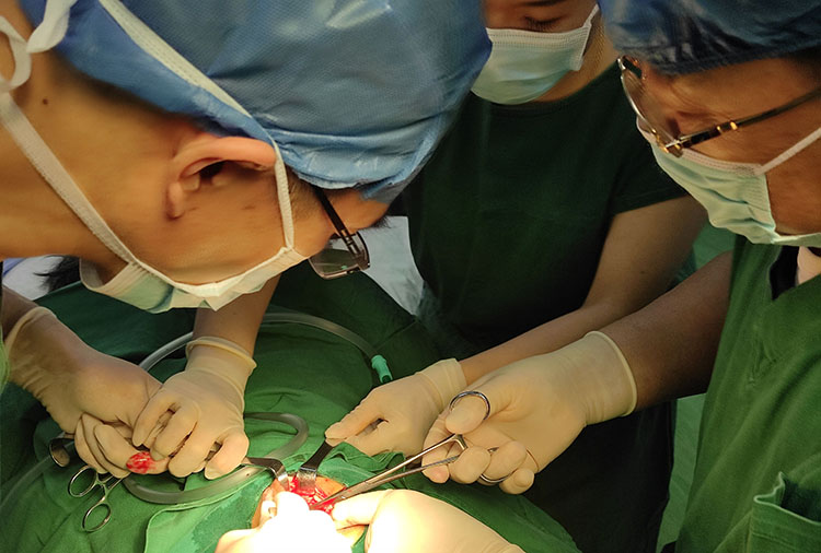 k8凯发官网(中国)天生赢家·一触即发