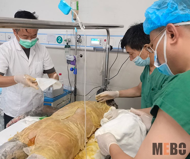 k8凯发官网(中国)天生赢家·一触即发