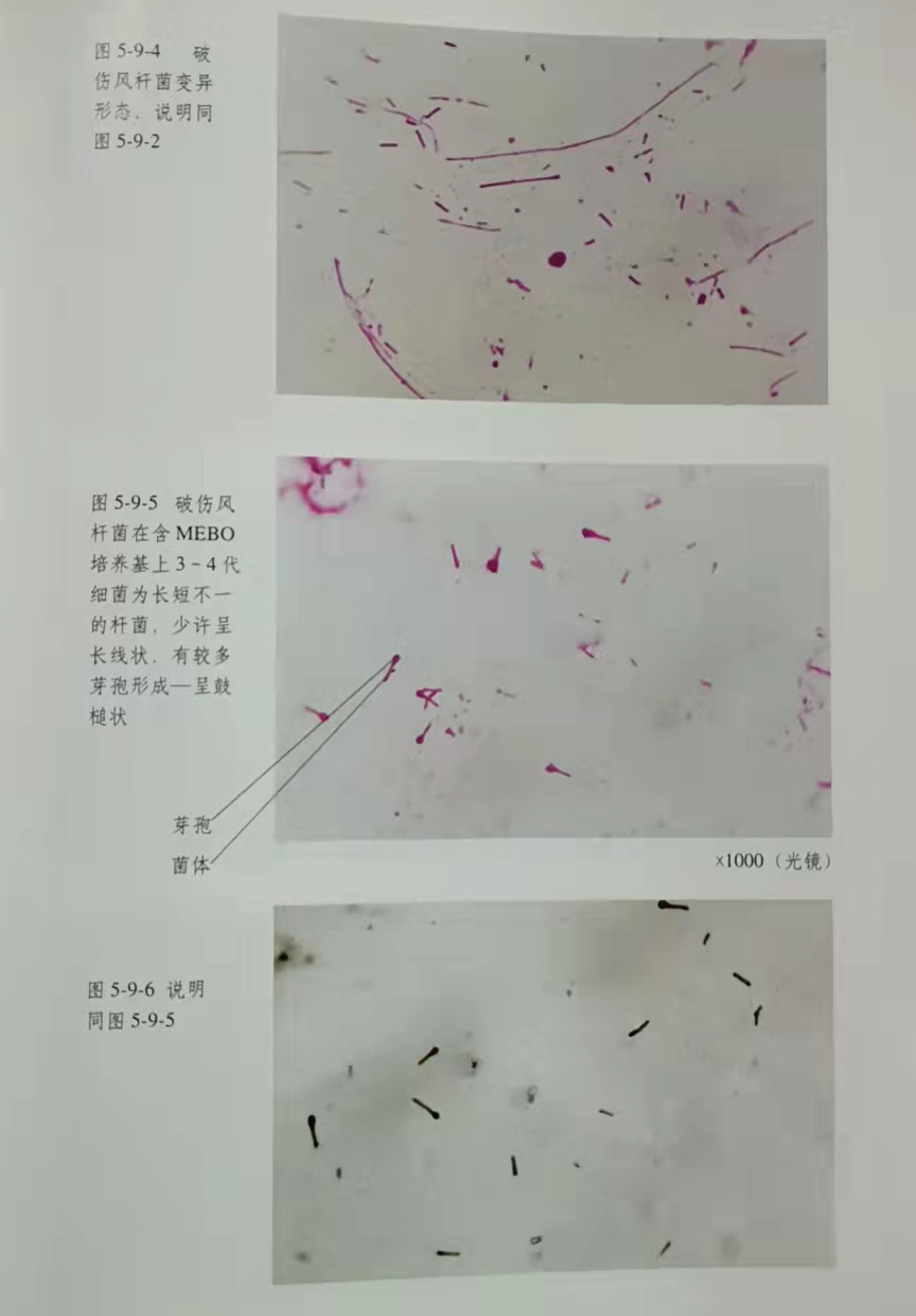 k8凯发官网(中国)天生赢家·一触即发