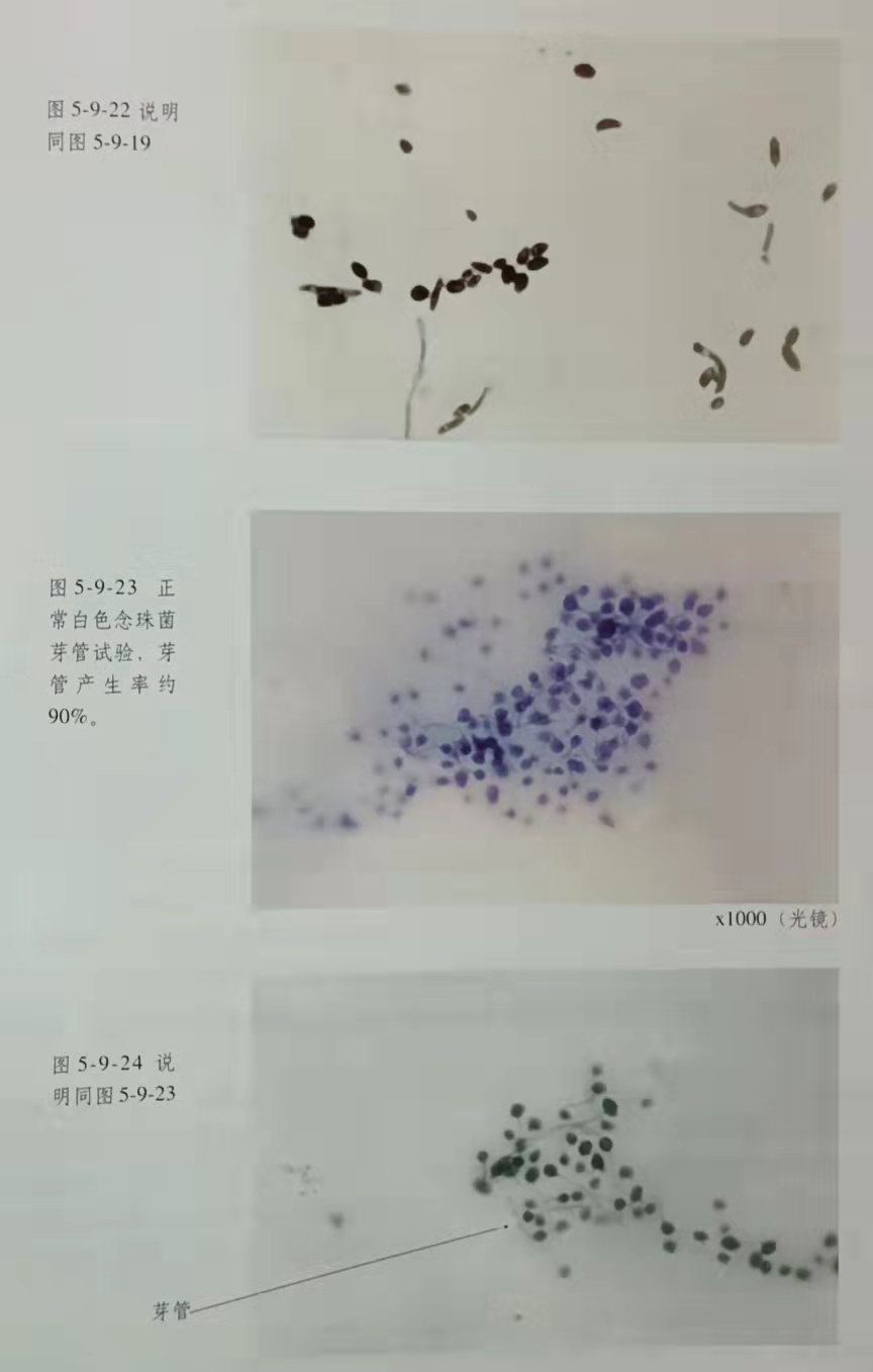 k8凯发官网(中国)天生赢家·一触即发