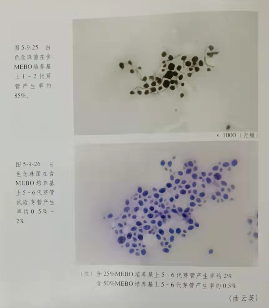 k8凯发官网(中国)天生赢家·一触即发