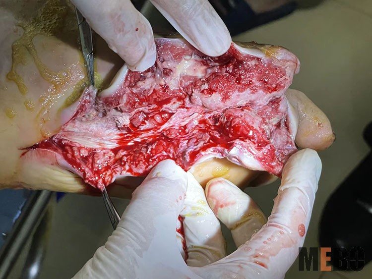 k8凯发官网(中国)天生赢家·一触即发