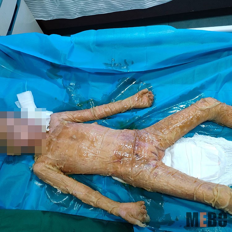 k8凯发官网(中国)天生赢家·一触即发