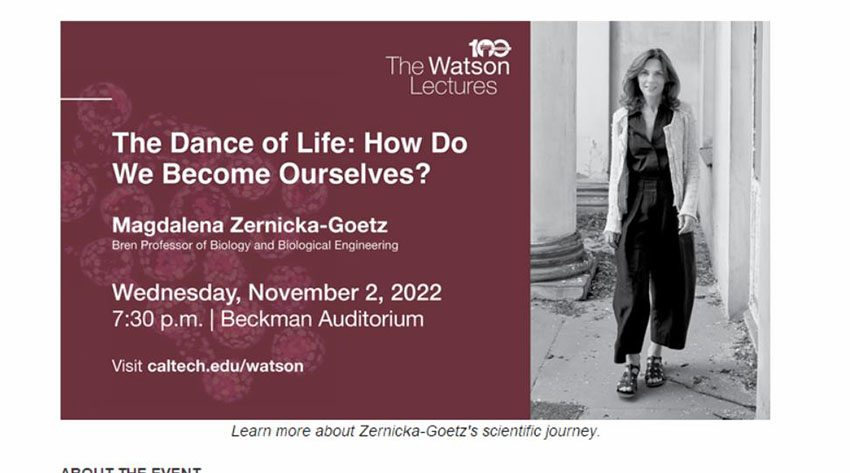 k8凯发官网(中国)天生赢家·一触即发