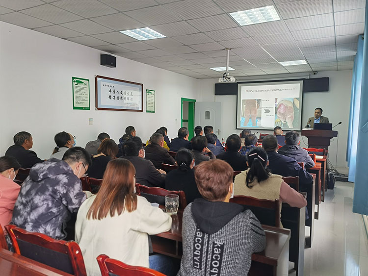 k8凯发官网(中国)天生赢家·一触即发