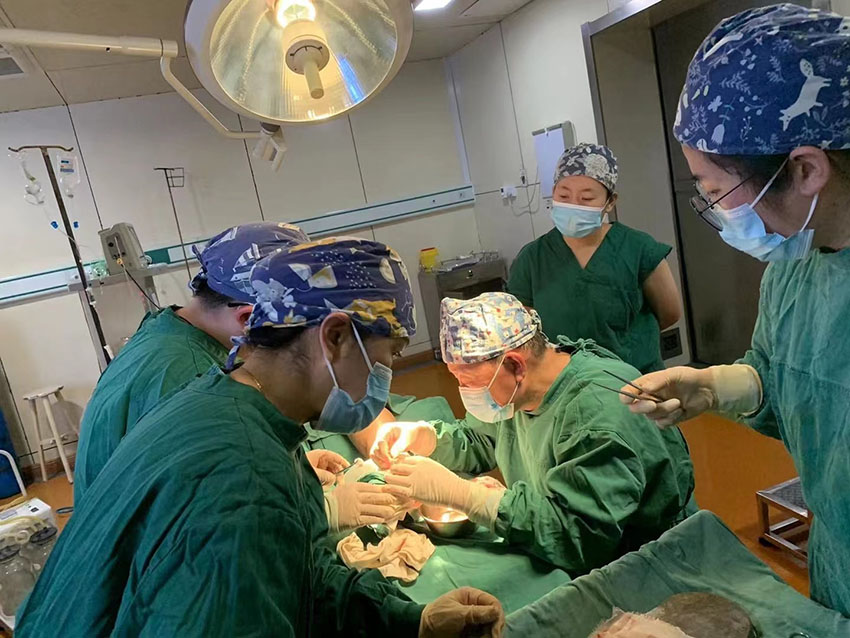 k8凯发官网(中国)天生赢家·一触即发