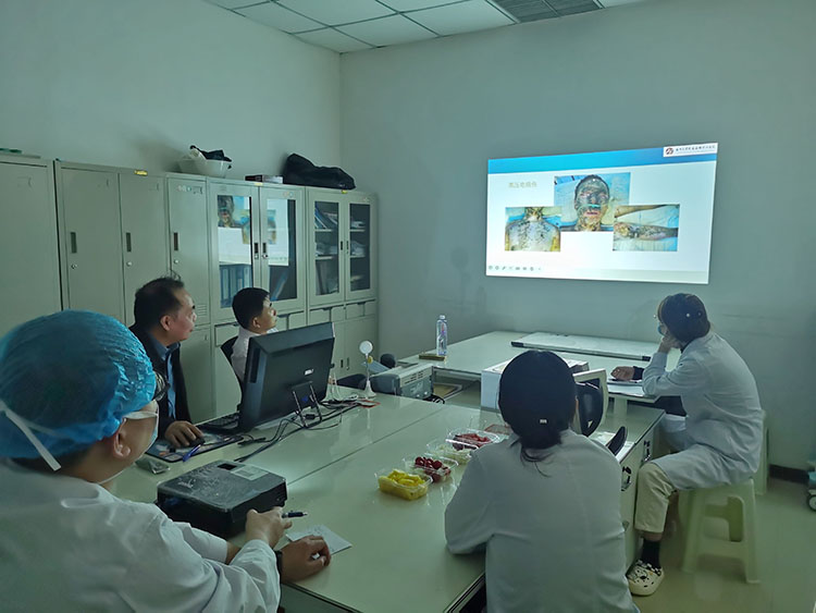 k8凯发官网(中国)天生赢家·一触即发